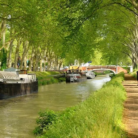 Appartement Le Saint-sernin Eclatant *